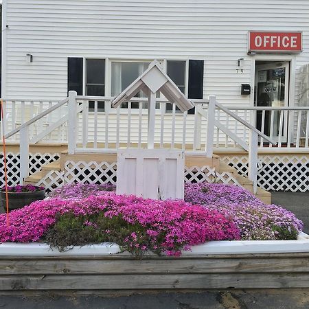 Knotty Pine Motel Salisbury Exterior foto